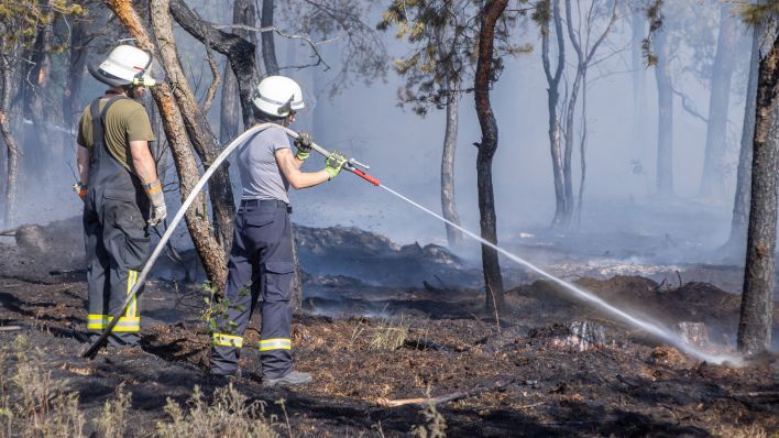 Feuerwehrmänner löschen in einem Wald des Naturschutzgebietes Gohrischheide einen Waldbrand. (Quelle: dpa/A. März)