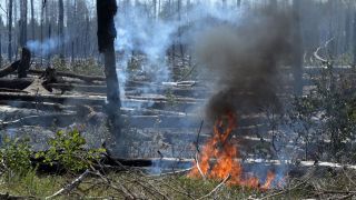 Brennender Wald bei Jüterbog. Der Waldbrand in dem ehemaligen Truppenübungsgebiet dort ist immer noch nicht gelöscht. (Quelle: dpa/M. Bahlo)