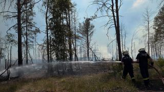 Zwei Feuerwehrmänner im Einsatz bei dem Waldbrandbrand bei Jüterbog. Das Feuer in dem Wald hat sich wieder ausgebreitet. (Quelle: dpa/M. Bahlo)