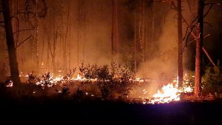 Flammen schlagen in die Höhe und Rauch steigt auf bei Nacht in einem Waldstück nahe Jüterbog