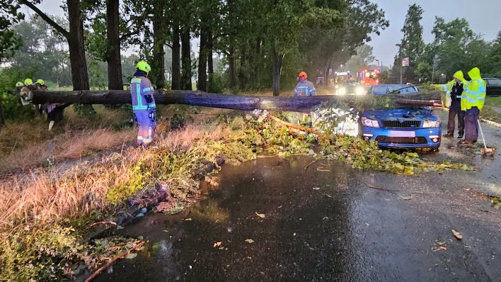 Ein Baum ist am 24.07.2023 während des Unwetters auf ein fahrendes Auto gefallen. (Quelle: BLP/Sappeck)