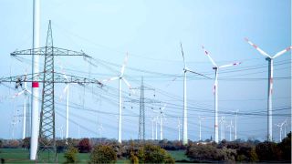 Windräder und Strommasten stehen in der Uckermark. (Foto: dpa)