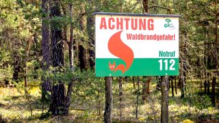 Eine Waldbrand-Warntafel steht am Rand eines Kifernwaldes bei Freienbrink (Gruenheide) in Brandenburg. (Foto: picture alliance / Andreas Franke)