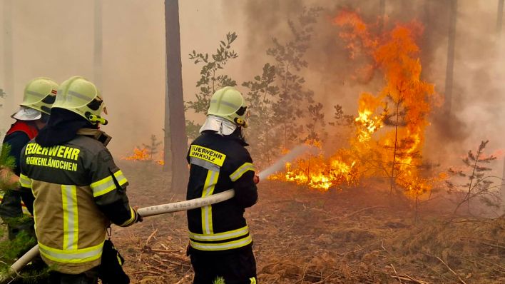 17.07.2023, Brandenburg, Halbe: Feuerwehrleute bekämpfen einen Brand bei Halbe (Dahme-Spreewald) (Quelle: dpa-Zentralbild/Julian Stähle)