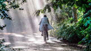 Eine Radfahrerin fährt durch den Berliner Tiergarten. (Quelle: imago-images/Jochen Eckel)