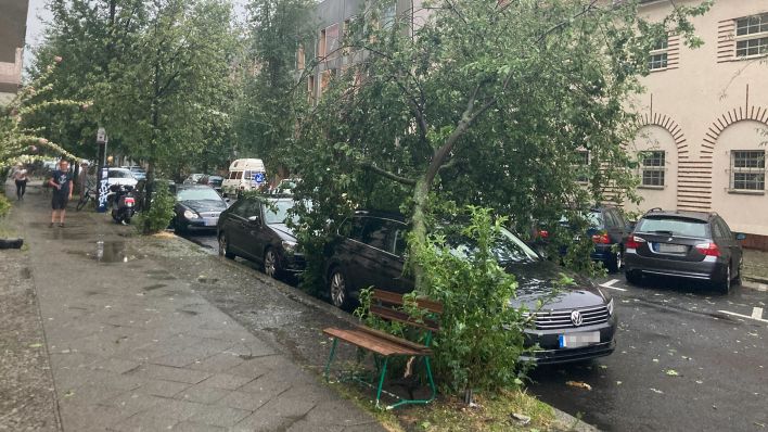 Nach einem Unwetter mit orkanartigen Windböen liegt am Prenzlauer Berg ein Baum auf einem Auto. (Quelle: rbb|24/Bürgener)
