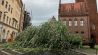 Nach einem Unwetter liegt ein umgefallener Baum am 24.07.2023 vor dem Märkischen Museum in Berlin-Mitte. (Quelle: rbb/Martin Küper)