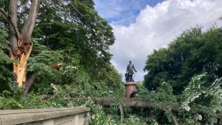 Unwetterschäden im Berliner Tiergarten. (Quelle: rbb/R. Unruh)