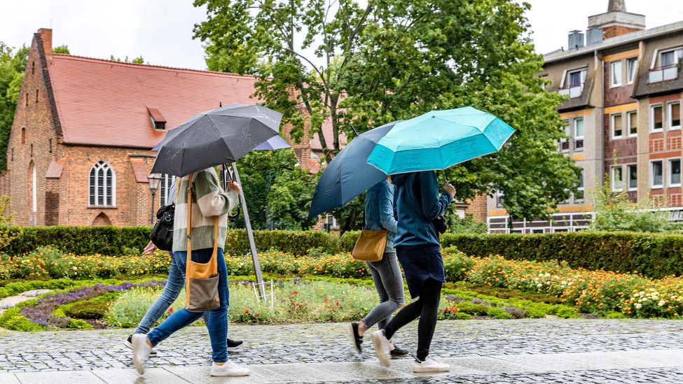 Vier Frauen laufen am 06.08.2023 bei Regen im Cottbuser Stadtzentrum vorbei Bei Temperaturen um 16 Grad Celsius soll es noch den ganzen Sonntag lang regnen. (Quelle: Picture Alliance/Frank Hammerschmidt)