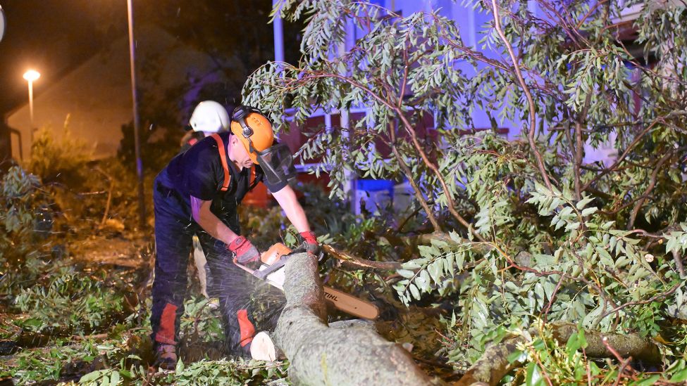 Ein Feuerwehrmann zersägt am 15.08.2023 in Brandenburg/Havel einen umgefallenen Baum. (Quelle: dpa/Michael Bahlo)