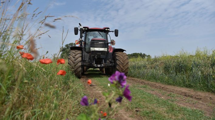 Ein Traktor fährt auf einem kleinen Feldweg. (Quelle: dpa/Simon Kremer)
