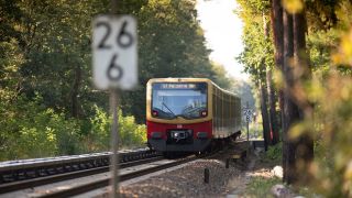 Symbolbild: Ein S-Bahn fährt zwischen den Haltestellen Wannsee und Griebnitzsee durch den Wald. (Quelle: dpa/S. Stache)