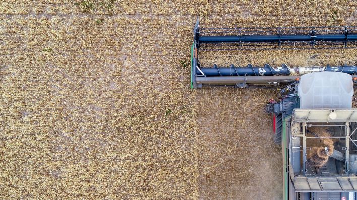 Symbolbild vom 05.07.2018, Brandenburg, Trebbin: Ein Mitarbeiter der Agrargenossenschaft Trebbin eG erntet mit einem Mähdrescher Weizen (Quelle: dpa / Patrick Pleul).