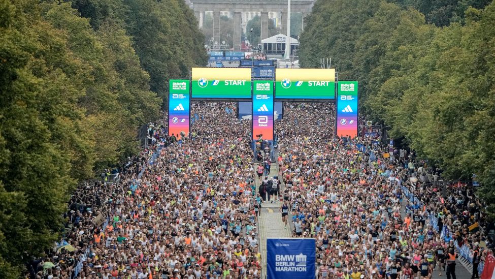 Berlin-Marathon startet. (Quelle: dpa/Markus Schreiber)