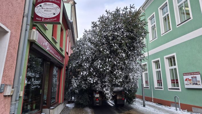 Weihnachtsbaum Senftenberg. (Quelle: Stadt Senftenberg)