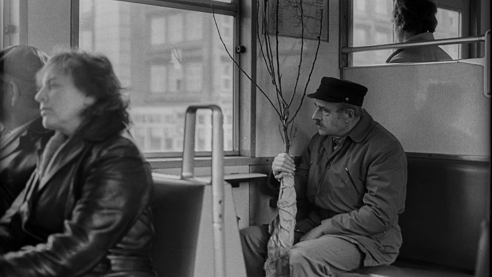 DDR, Berlin, 18. 4. 1988, in der S-Bahn, Mann mit einem jungen Baum. (Quelle: imageBROKER/Rolf Zöllner)