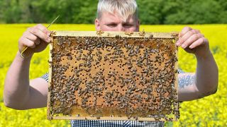 Martin Müller, Berufsimker, steht mit einer Bienenwabe auf einem Pressetermin zur Rapsblüte vom Landesbauernverband Brandenburg (Quelle: DPA/Patrick Pleul)