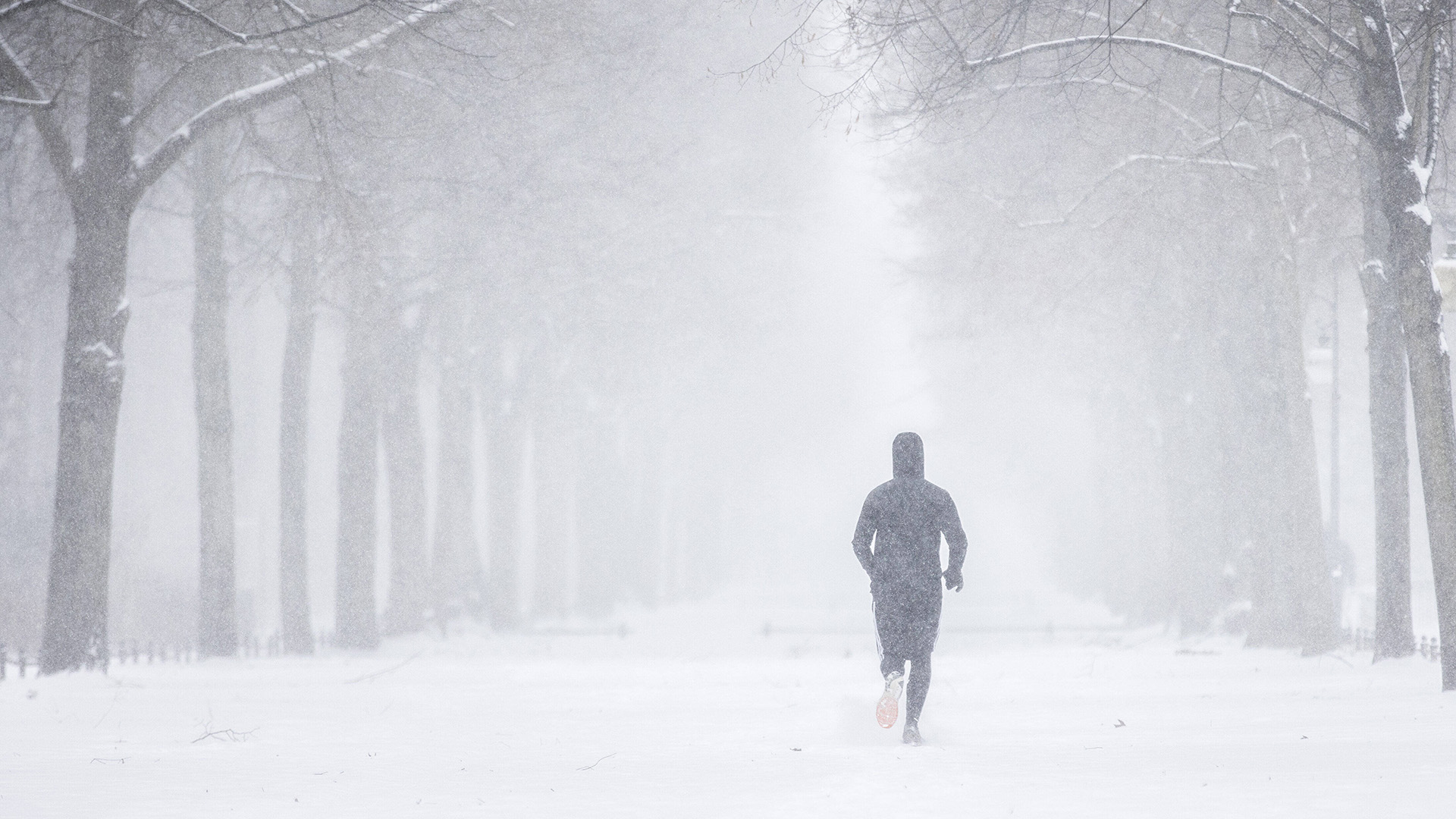 Ein Jogger läuft bei Schneegestöber durch den Wald (imago images/photothek)