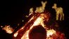Eine Feuerschale brennt vor leuchtenden Tierfiguren (Quelle: dpa/Matthias Bein)