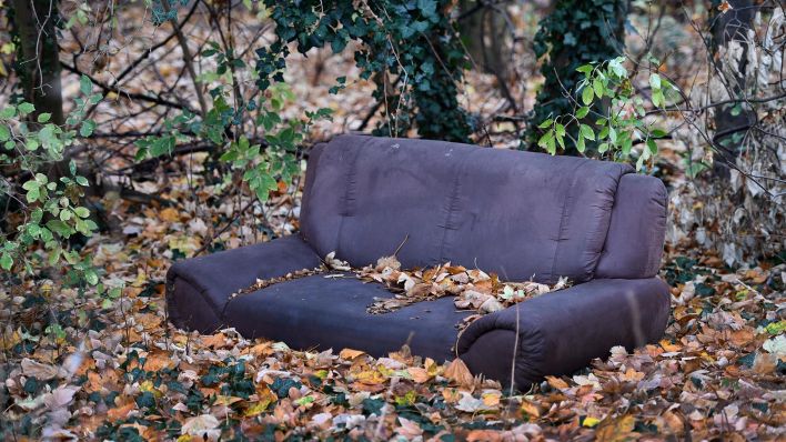 Symbolbild:Ein Sofa steht inmitten von Pflanzen in einem Wald.(Quelle:picture alliance/F.May)