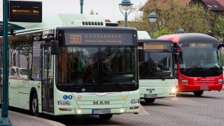 Symbolbild: Busse stehen auf dem Bahnhofsplatz in Brandenburg. (Quelle: dpa/P. Pleul)