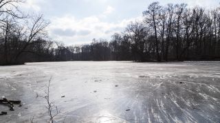Neuer See zugefroren im Februar im Tiergarten Berlin (Bild: imago images/STPP)