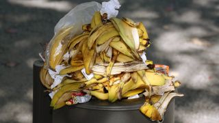 Bananenschalen quellen am 24.09.2006 aus einem Mülleimer in Berlin. (Quelle: Imago Images/Ina Peek)