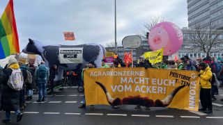 Demo "Wir haben es satt" am Samstag 20.01.24 in Berlin