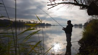 Ein Angler steht an dem deutsch-polnischen Grenzfluss Oder im Nationalpark Unteres Odertal (Quelle: dpa/Pleul)