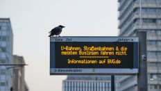 Archivbild:29.02.2024, Berlin: An einer Anzeigetafel einer Tramstation am Alexanderplatz wird auf einen ganztägigen Warnstreik bei Berlins U-Bahnen, Bussen und Trams hingewiesen.(Quelle:dpa/J.Carstensen)