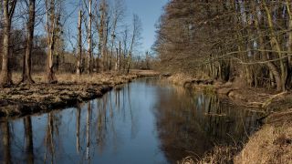 Archivbild: Fluss Nuthe im Winter. (Quelle: imago images/Laude)