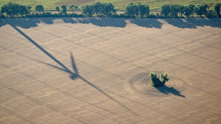 Symbolbild: Schatten eines Windardes auf einem Feld. (Quelle: picture alliance/Sebastian Gollnow)