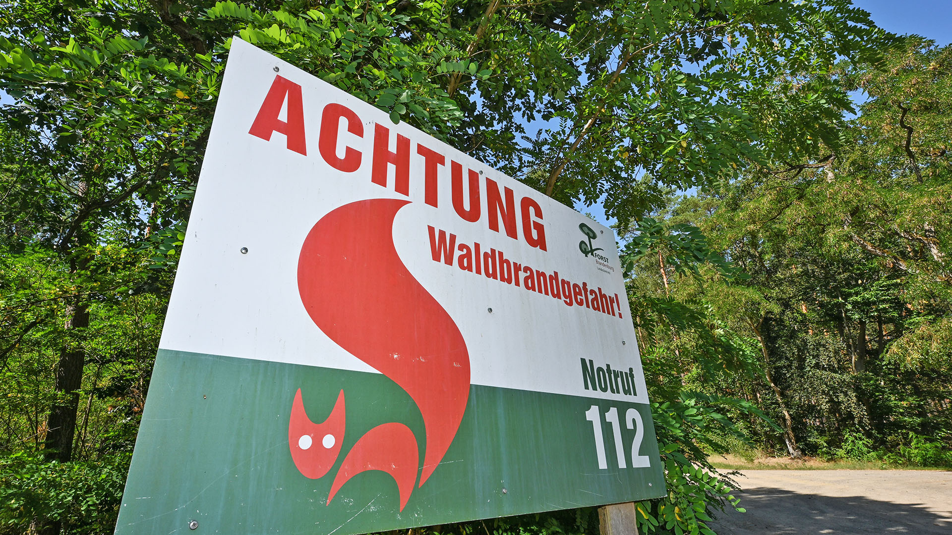 Ein Schild vom Landesbetrieb Forst Brandenburg mit der Aufschrift «Achtung Waldbrandgefahr! Notruf 112» steht an einem Waldrand im Landkreis Oder-Spree in Ostbrandenburg.(Quelle: dpa/Patrick Pleul)