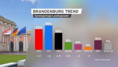 Grafik Brandenburg Trend Sonntagsfrage.(Quelle:rbb)