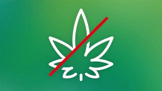 Ausschnitt vom Cannabis Konsum Verbotsplakat der Deutschen Bahn AG vom 20.04.2024.(Quelle: DB AG)