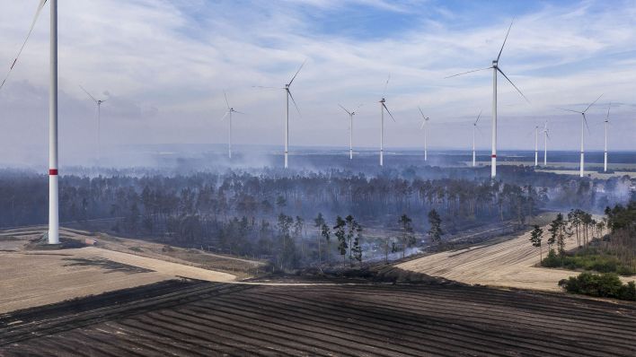 Rauchschwaden ziehen bei einem Waldbrand zwischen Windkraftanlagen am frühen Morgen über ein Waldgebiet. Elbe Elster, Brandenburg. 25.07.