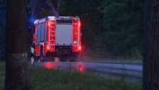 Symbolbild: Ein Feuerwehrfahrzeug fährt in den frühen Morgenstunden mit Blaulicht in einem Waldstück in Brandenburg. (Quelle: dpa-Bildfunk/Annette Riedl)