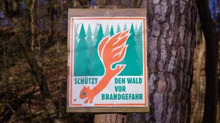 Warnschild Waldbrandgefahr, aufgenommen am 28.01.2024 in Brandenburg. (Quelle: dpa/Schoening)