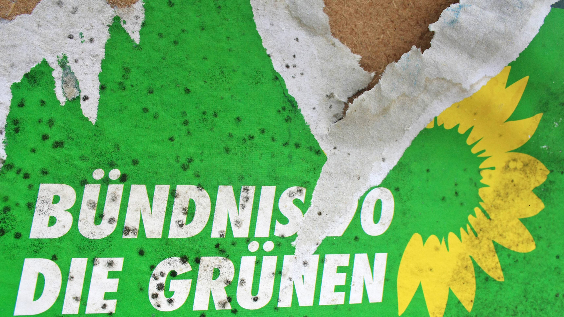 Symbolbild: Zerstörtes Die Grünen Plakat.(Quelle: imago stock&people)