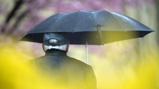 Symbolbild:Ein Passant geht mit einem Regenschirm zwischen blühenden Bäumen und Sträuchern in Brandenburg.(Quelle:picture alliance/dpa/R.Hirschberger)