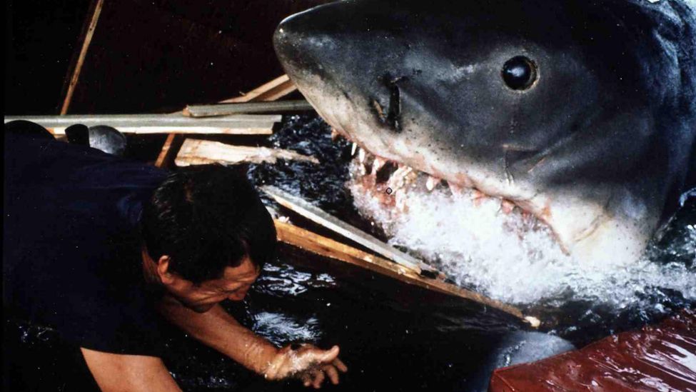 Filmstill:Jaws (1974) Brody (Roy Scheider) in Szene Regie: Steven Spielberg.(Quelle:dpa/United Archives/IFTN)