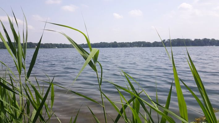 Bad Saarow und Prenzlau: Zwei Menschen in Brandenburger Seen verstorben