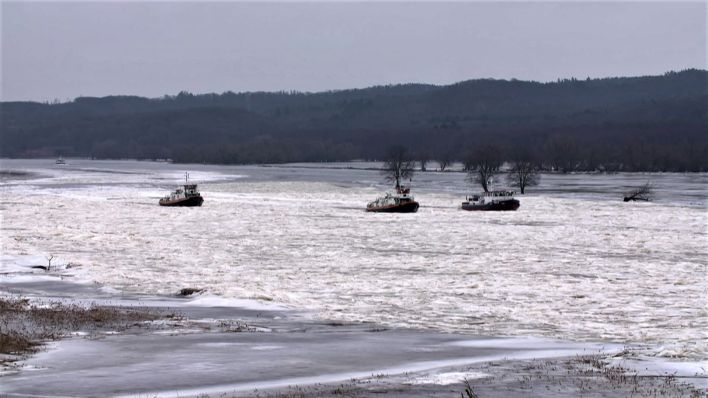 Eisbrecher im Einsatz gegen das Eis-Hochwasser auf der Oder
