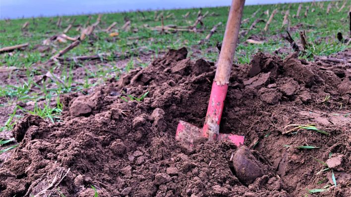 Spaten im Acker für lockeren Boden und Humus gegen CO2 in der Landwirtschaft