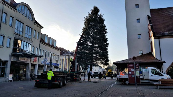 Der Weihnachtsbaum wird auf dem Marktplatz von Fürstenwalde aufgestellt. (Foto: Eva Kirchner/rbb)