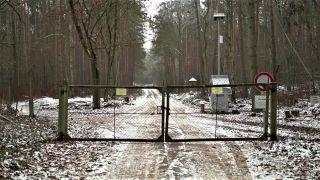 Wald bei Hohensaaten soll für Solarpark weichen