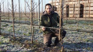 Der Frankfurter Obstbauer Christian Dohrmann hat in seiner Plantage Bewässerungsschläuche verlegt