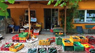 Ökogemüse aus Brodowin, bunte Vielfalt vor Ladengeschäft