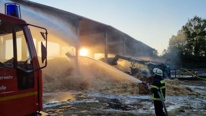 Feuerwehr beim Brand einer Milchviehanlage in Treppeln bei Neuzelle
