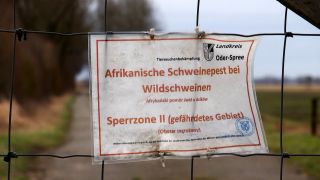 ASP Schweinepest Schild Zaun Sperrzone